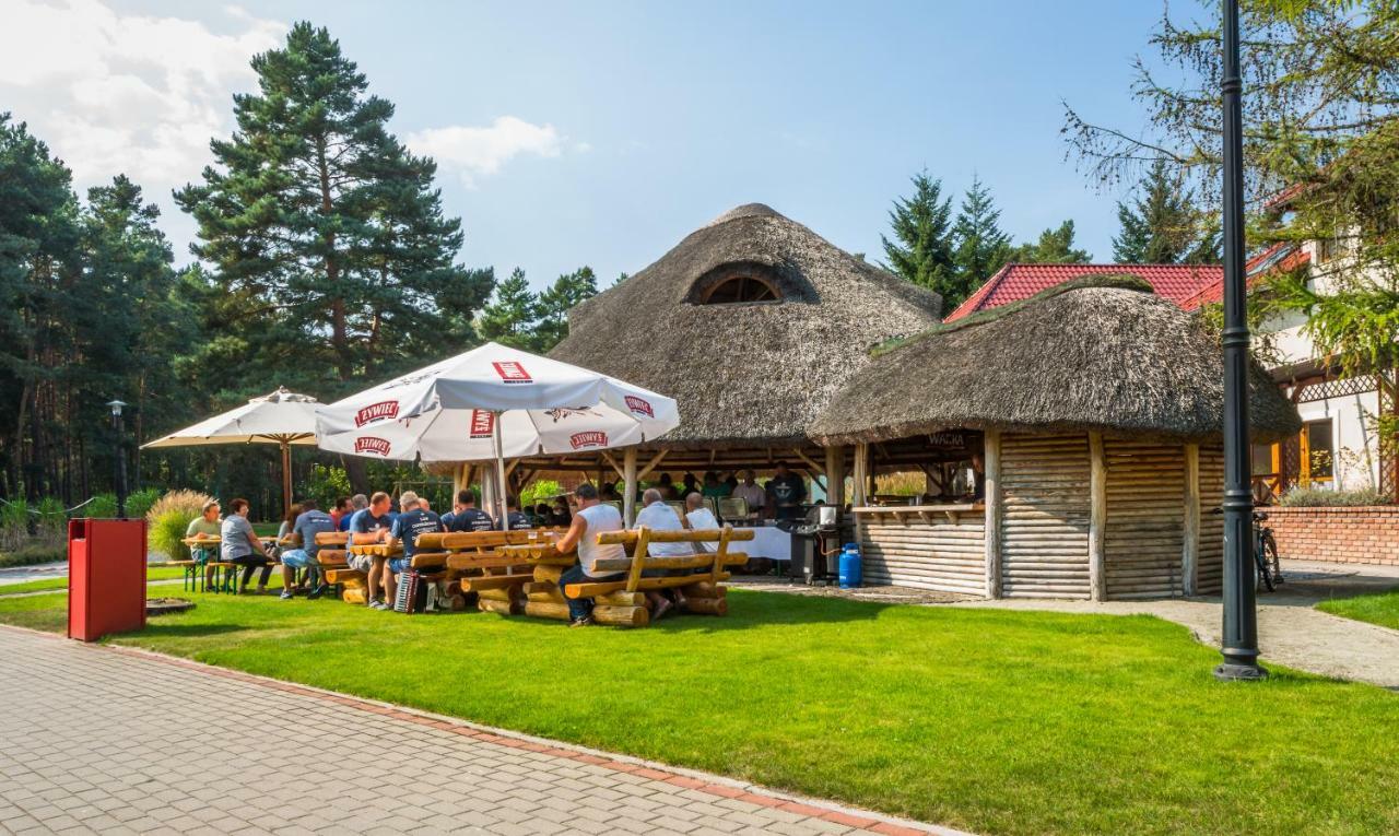 Nad Borkiem Kosarzyn (Lubusz) Exterior foto